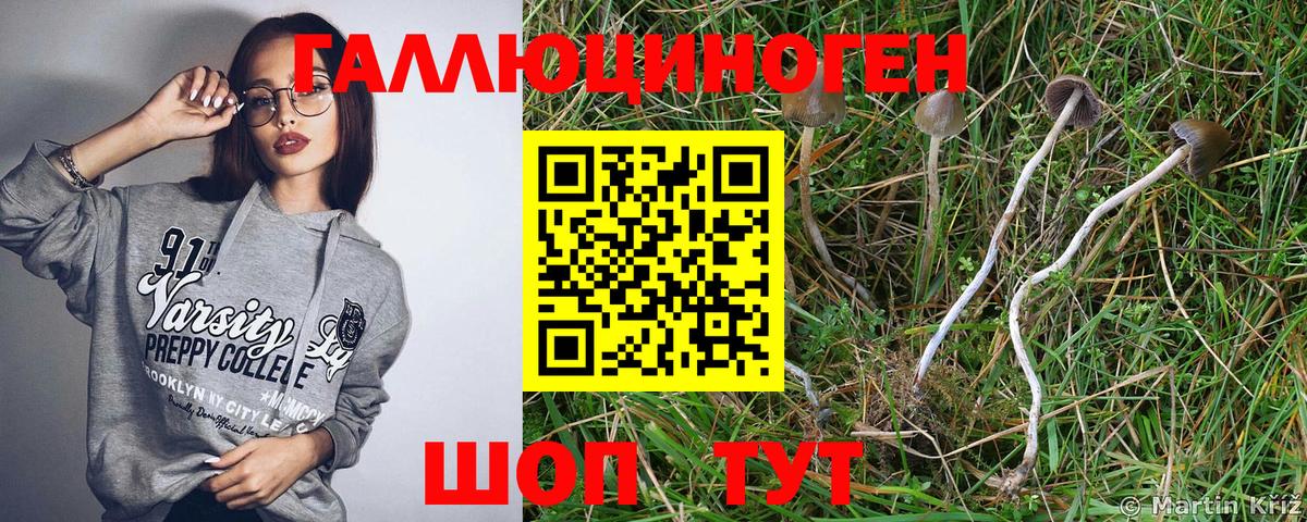 Псилоцибиновые грибы MAGIC MUSHROOMS Казань