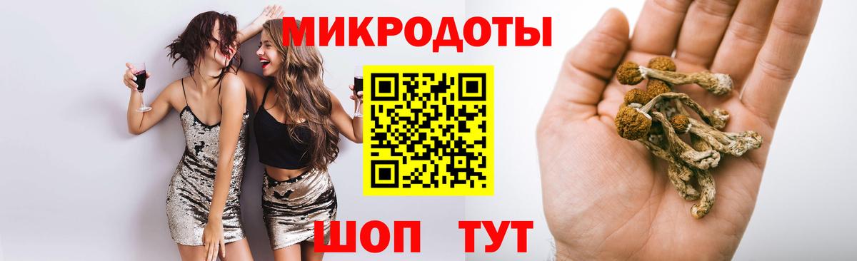 Галлюциногенные грибы Psilocybe  купить  сайты  Казань  Вход с VPN 